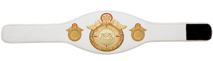 GRAPPLING CHAMPIONSHIP BELT-PROWING/G/GRAPPG-6+ COLOURS